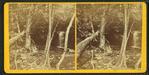 Caldeno Falls, Pike Co., Pa.