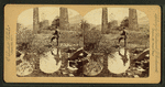 Starrucca Viaduct, length 1200 feet; height 110 feet ...