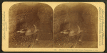 Mining coal three miles under ground, Pennsylvania, U.S.A.
