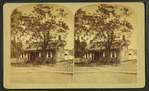 The Cottage.