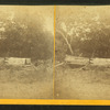 Several men and women posed around collapsed clapboard structures adjacent to wooded area.