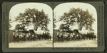 Wagon used to haul ammunition to Admiral Perry on Lake Erie (1813) -- "Prairie Schooner" type.