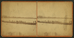 The old [illegible] ship Lawrence raised out of water.