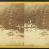 Trout fishing on Kettle Creek near Oleona, Potter Co., Pa.