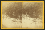 Trout fishing on Kettle Creek near Oleona, Potter Co., Pa.