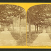 Old Moravian burying ground. (Summer.)