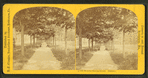 Old Moravian burying ground. (Summer.)
