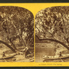 Calypso Island, the spring. [Bethlehem, Pa.]
