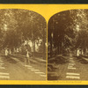 Old Moravian burying ground. [Bethlehem, Pa.]