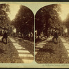 Old Moravian Cemetery, middle row.