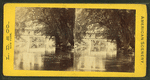 Catawissa Creek. [Along the banks, under a bridge.]