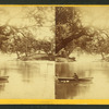 Catawissa Island. [Rowboat on the Catawissa.]