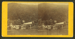 Stereoscopic views of Catawissa Creek, Pennsylvania.
