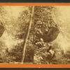 Mountain springs. [Man drinking from a canteen in the forest.]