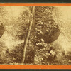 Mountain springs. [Man drinking from a canteen in the forest.]