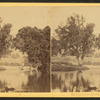 On Catawissa Island, Catawissa, Pa. [View along the banks of the river.]