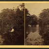On Lycoming Creek, Pa. [Man fishing.]