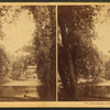 On Catawissa Island, Catawissa. [Distant view of a man sitting in front of the water.]