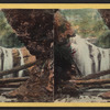 View of Marshall's Falls from below.