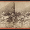 Water Gap from Carriage Road.