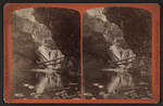 Marshalls Creek, Marshalls Falls.
