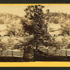 View of Mount Jefferson near Easton, Pa.