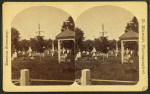 Easton Cemetery and natural cross on tree.