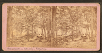 Breastworks on left wing, Gettysburg.