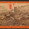 Dead Union soldier, arm torn off and disemboweled.