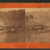 Stereoscopic views of Gettysburg, Pennsylvania.