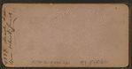 Dead soldiers near Wheatfield.