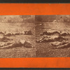 Dead soldiers near Wheatfield.