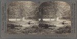 Spangler's Spring, Gettysburg, Pa.