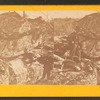 Dead at Little Round Top, position of Berdan sharp-shooters.