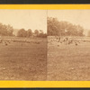 The woods from which the 2nd Mass. and 27th Indiana charged on the morning of July 3d, 1863.