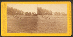 The woods from which the 2nd Mass. and 27th Indiana charged on the morning of July 3d, 1863.