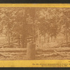 Federal breastworks on Culp's Hill, position carried by Confederates. July 2, 1863.