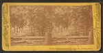 Federal breastworks on Culp's Hill, position carried by Confederates. July 2, 1863.