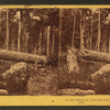 Effects of Union shot and shell on Culp's Hill.