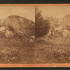 Position occupied by a rebel sharpshooter in rear of "Devil's Den," and the place he lost his life.