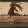 Monument where Lincoln's famous address was made, 979 of the great battle's unknown dead, Gettysburg.
