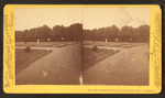 Section of unknown graves, Nat. Cemetery.