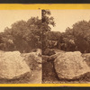 The spring near Devil's Den, Gettysburg, Pa.