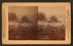 Battles of Gettysburg.