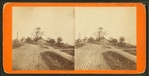 Houses along a carriage way, Girard, Pennsylvania.