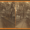 Tree lined walkway along an iron fence, Girard, Pennsylvania.