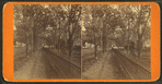 Tree lined walkway along an iron fence, Girard, Pennsylvania.