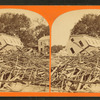 House upended, surrounded by debris, Johnstown, Pa.