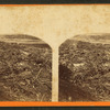 Debris above Stone Bridge.