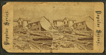 Ruins of Johnstown, Pa.